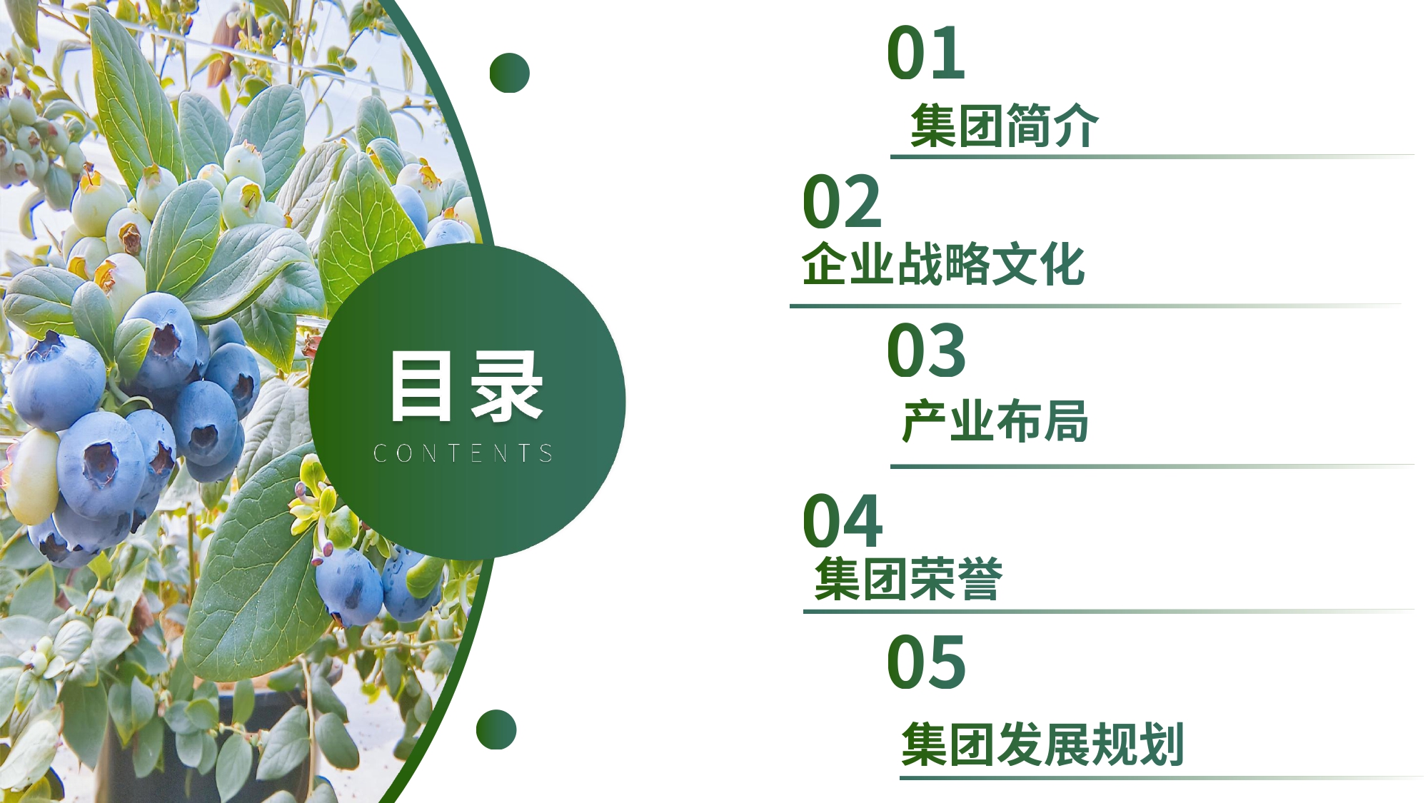 云南民之源实业集团有限公司简介2026_page-0002.jpg